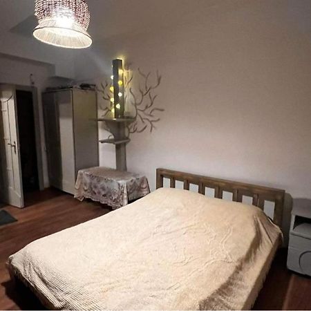Hotel Mgzavrebi Bakuriani Ngoại thất bức ảnh