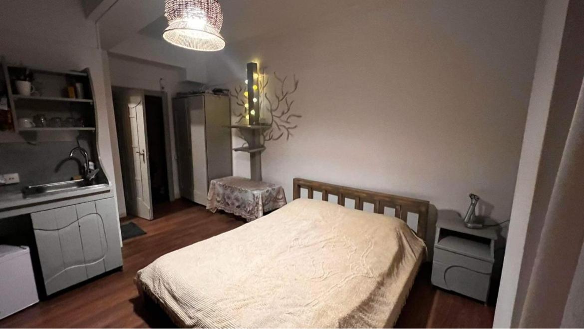 Hotel Mgzavrebi Bakuriani Ngoại thất bức ảnh